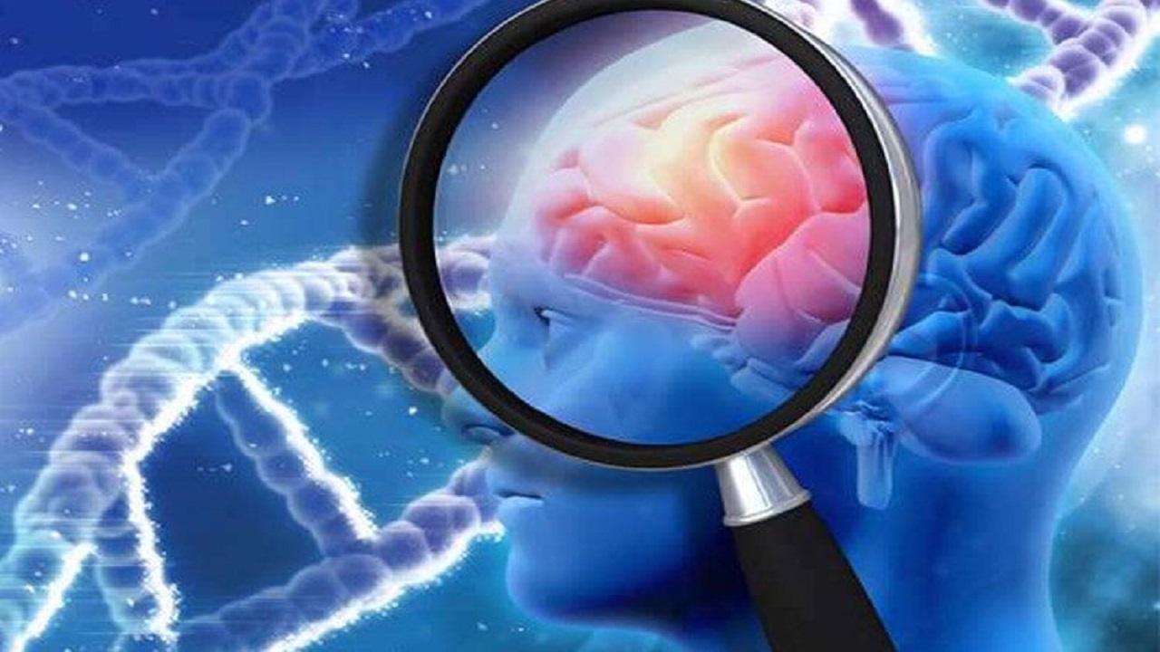 پژوهشگران در مشهد یک سیستم بازی برای توانبخشی بیماران پارکینسون طراحی کردند