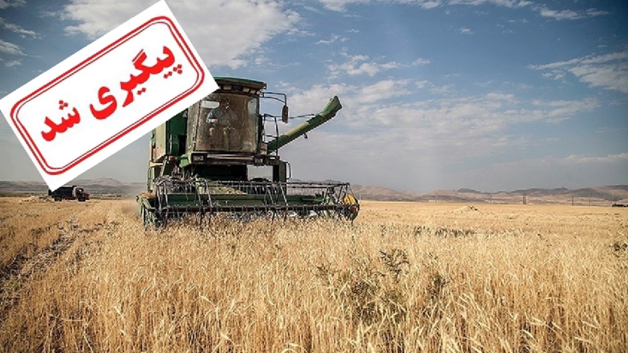 نتیجه پیگیری‌ها برای اصلاح قیمت گندم از زبان مجری طرح گندم