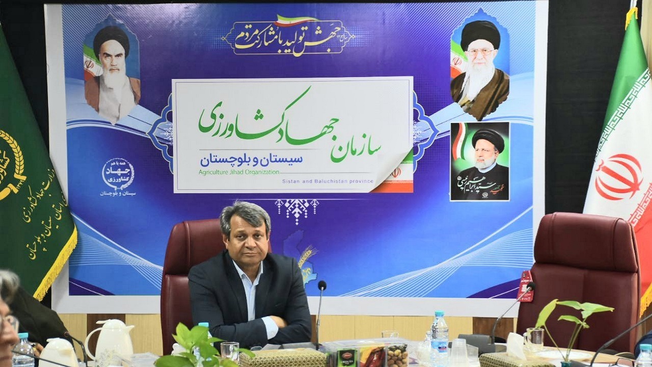 رشد ۲۳ درصدی جوجه ریزی در واحدهای مرغداری سیستان وبلوچستان