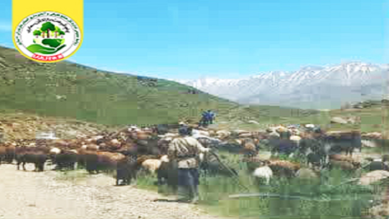 کنترل و مدیریت چرای دام در مراتع آمل
