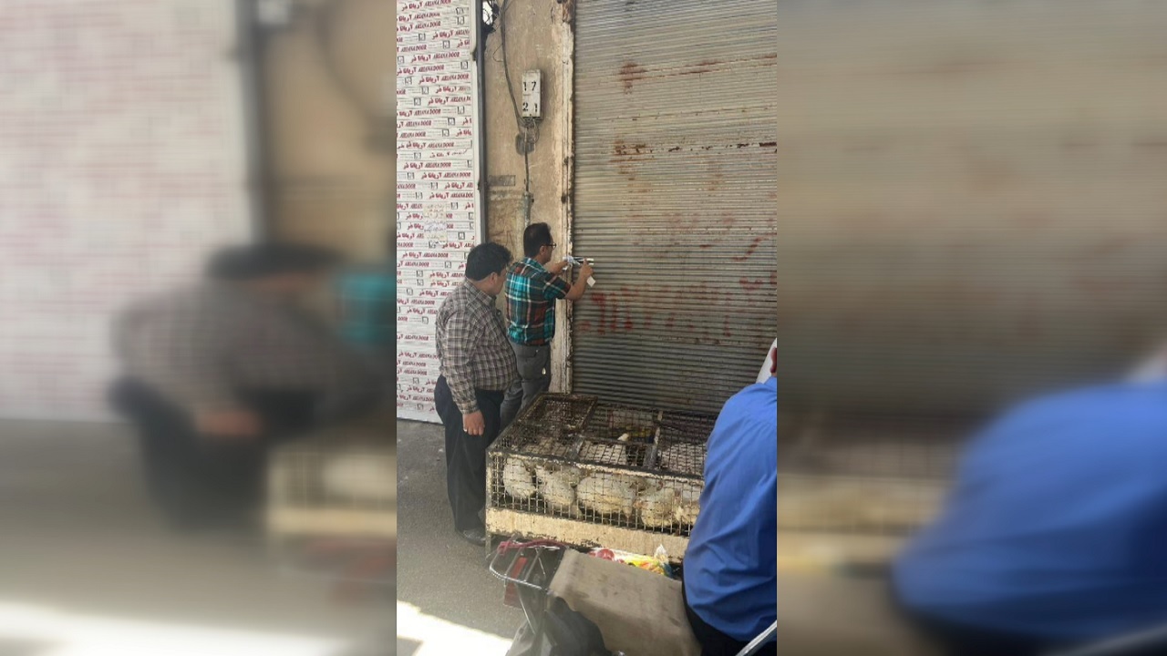 پلمب یک واحد عرضه پرندگان در بازار قزوین