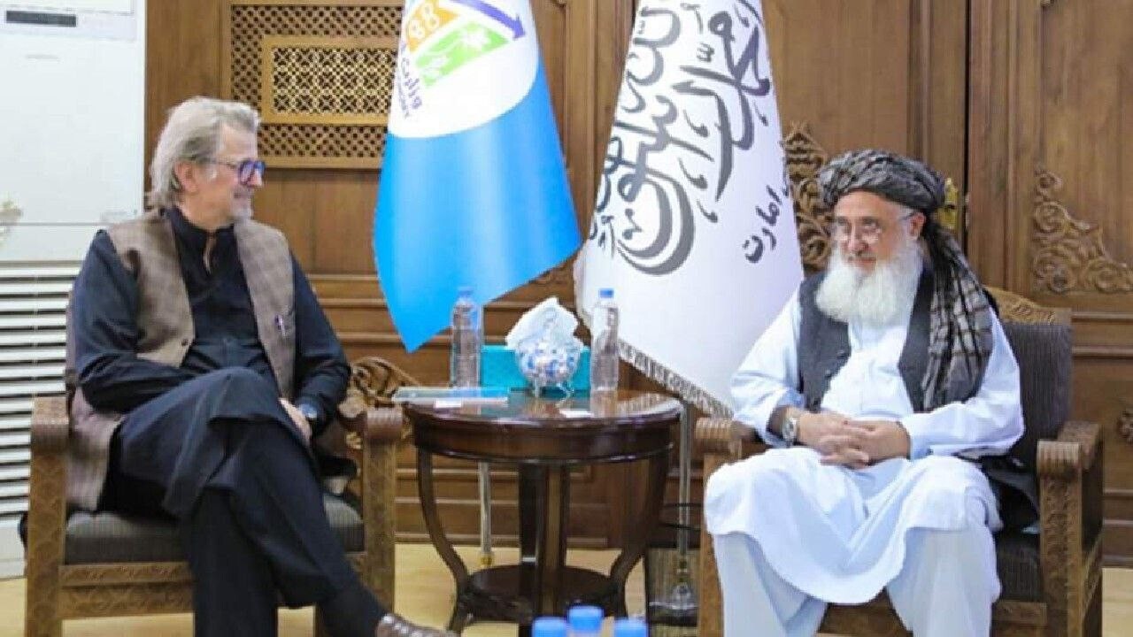 حمایت از معلولین در افغانستان