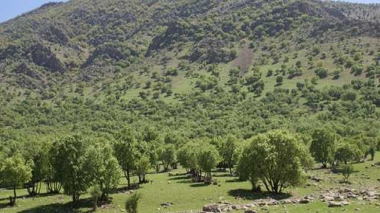 تصویب قوانینی که بهره‌برداری از منابع طبیعی را محدود می‌کند، ضروری است