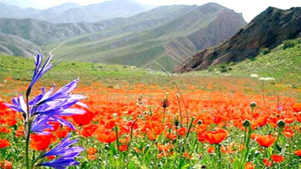 زیبایی‌های ارتفاعات و دامنه‌های کوه شاه جهان