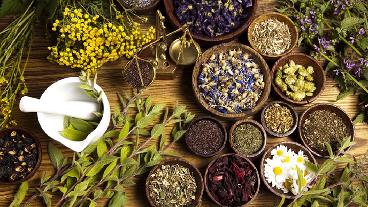 رونق تولید گیاهان دارویی در خوزستان؛ لزوم توسعه صنایع فرآوری و بسته بندی در این حوزه
