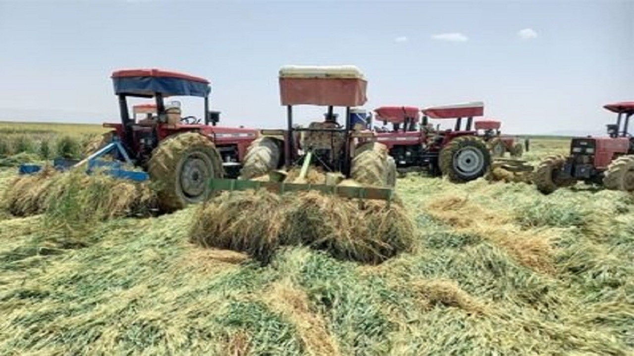 بررسی مشکلات سوختی کشاورزان خاش