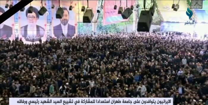 النجبا