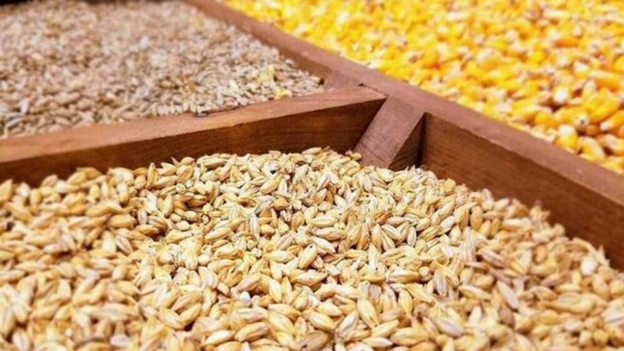 توزیع ۳۸۸ تن نهاده دامی در خرمشهر