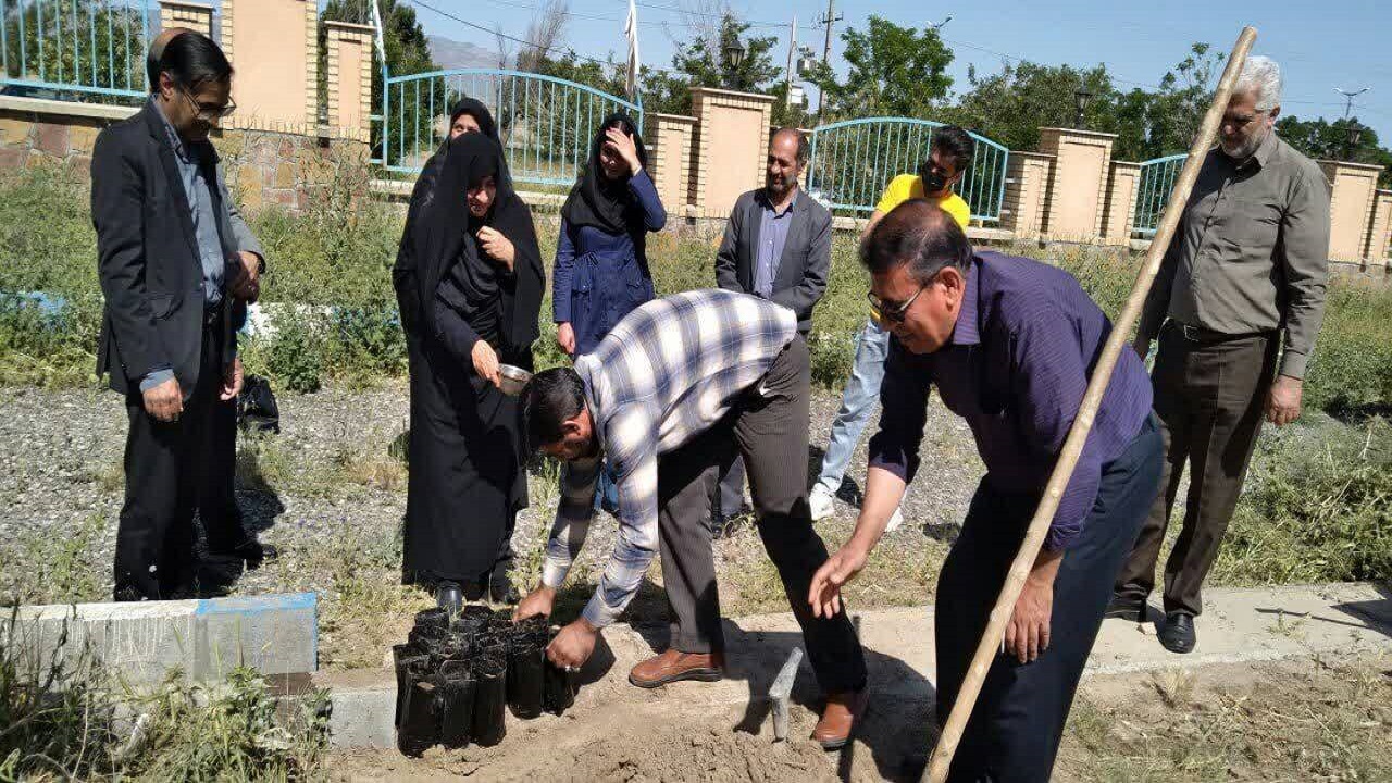کاشت هزار بذر بادامشک در فریمان با حضور اساتید و دانشجویان + تصاویر