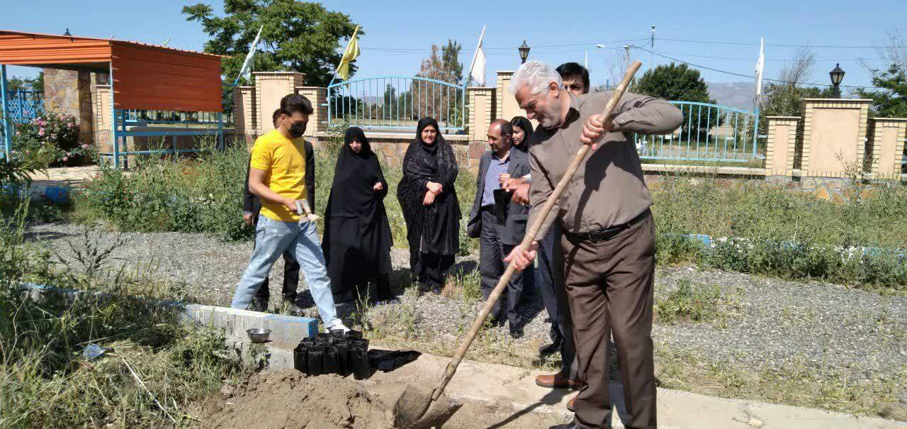 کاشت درخت