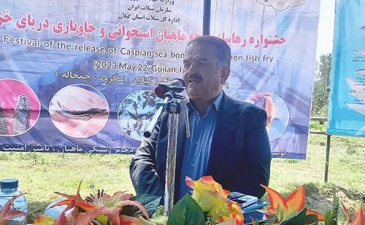 ناصر کرمی راد، مدیرکل دفتر حفظ بازسازی ذخایر ژنتیکی آبزیان شیلات