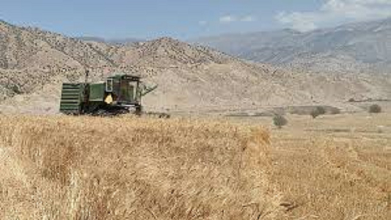 برداشت ۷هزار تن گندم و جو از مزارع کشاورزی لنده