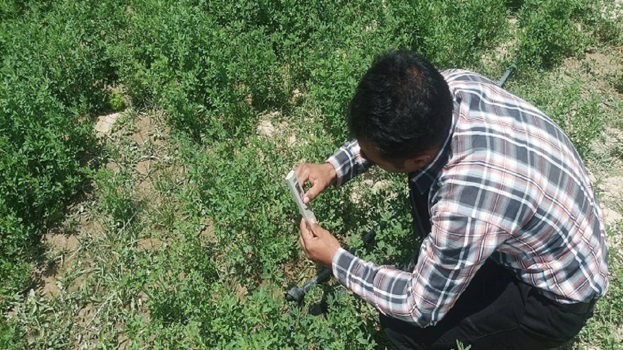 شناسایی و برخورد با انشعابات غیر مجاز آب در زهک