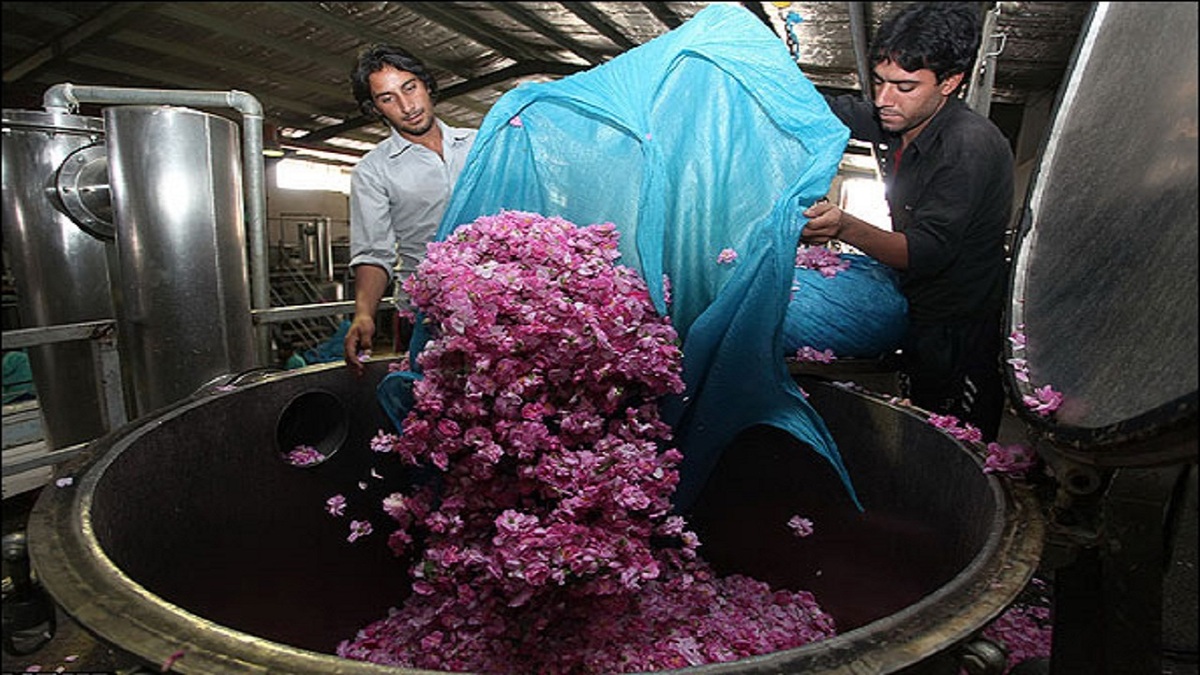 درمان فوری سوختگی شدید با اسپری گلاب + فیلم