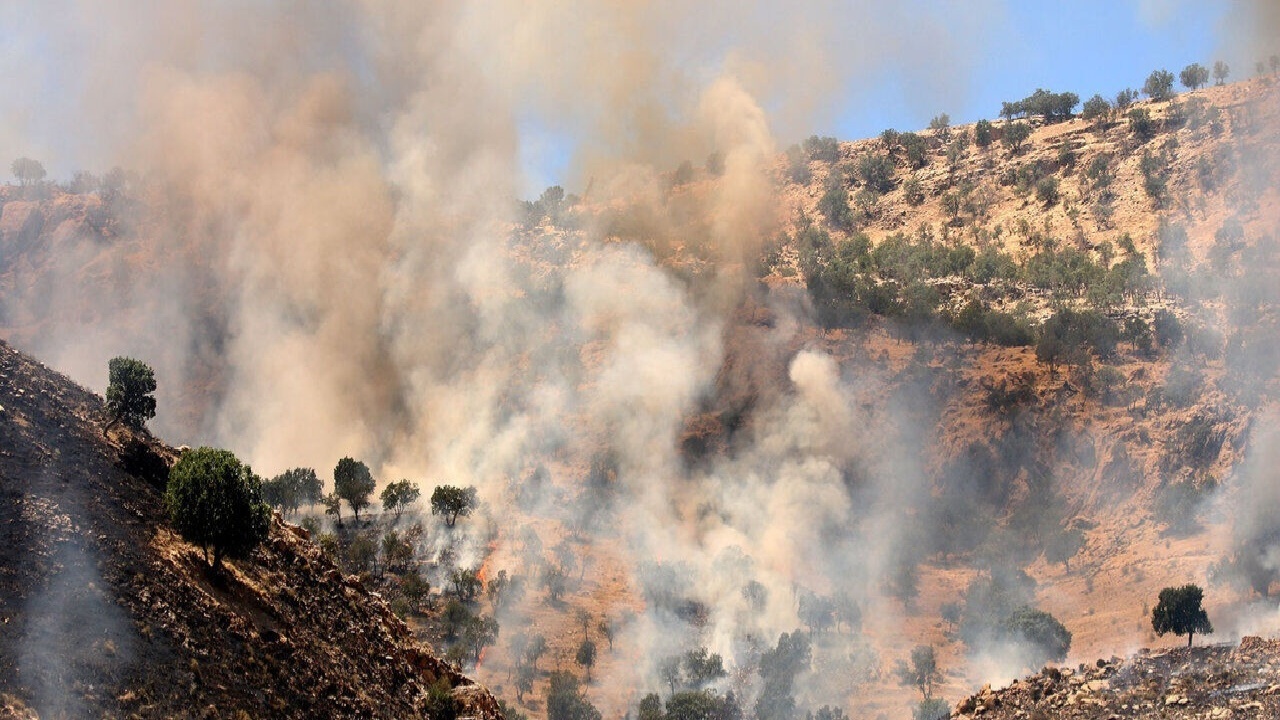 ۷۳.۵ هکتار جنگل و مرتع لرستان در آتش بی توجهی انسان سوخت