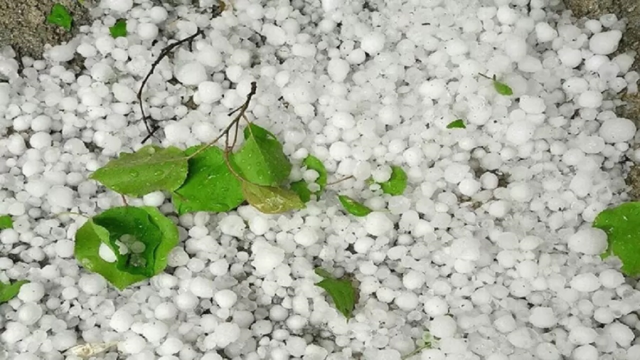 فیلمی از بارش تگرگ و باران در روستای حصار