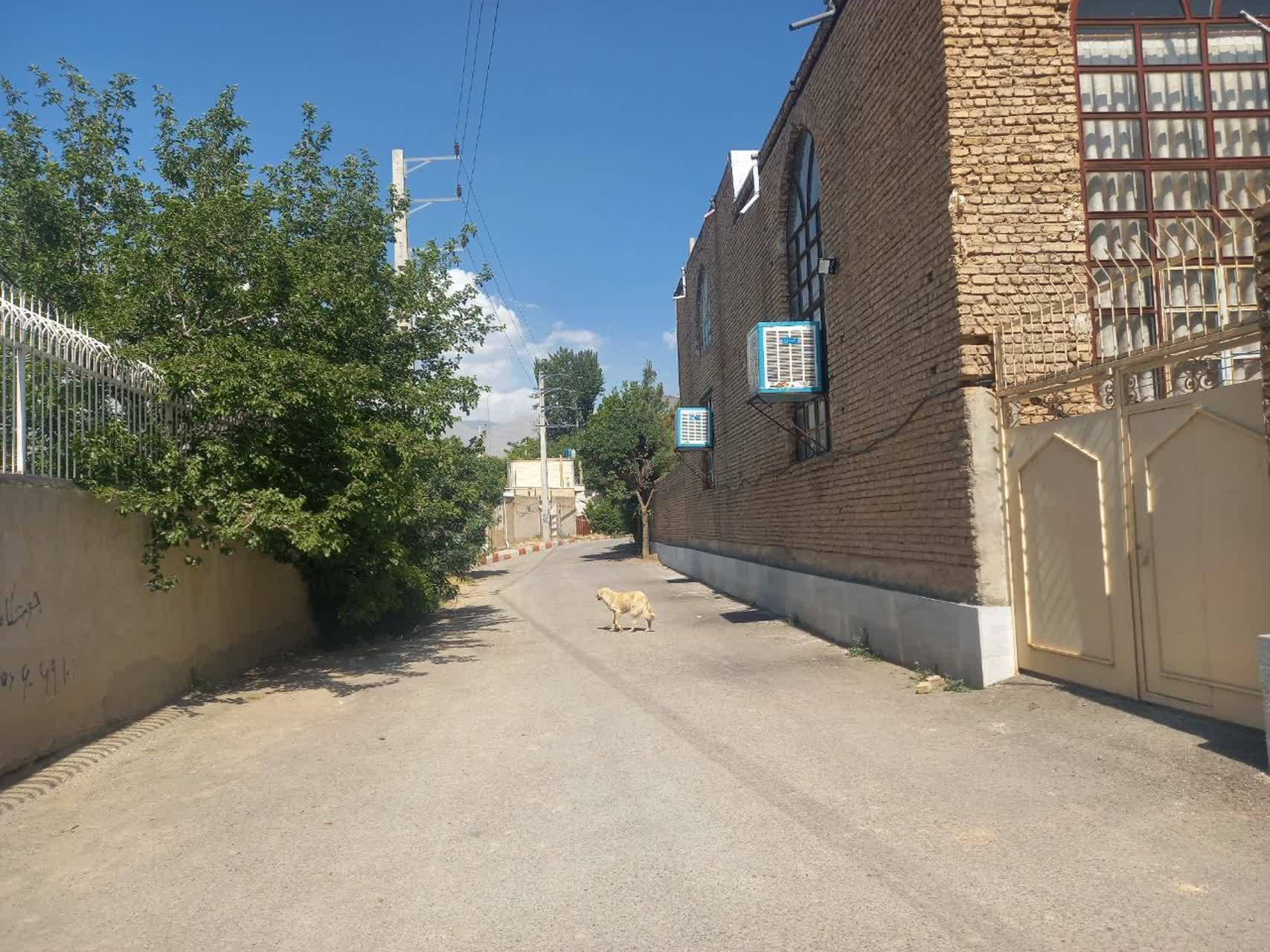 مرمت و بازسازی نشدن مساجد