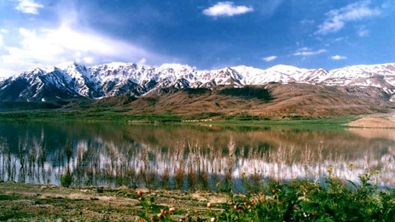 تالاب گندمان الگوی حفاظت محیط زیست در سطح خاورمیانه