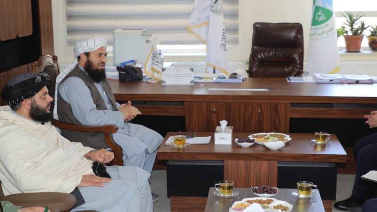 طالبان خواستار شرکت در نشست کاپ ۲۹
