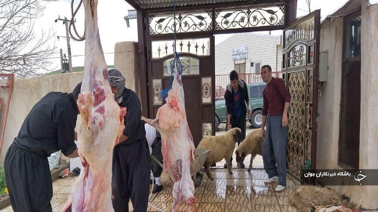۶۴ تیم دامپزشکی نظارت بر ذبح دام را در آذربایجان‌غربی عهده‌دار هستند