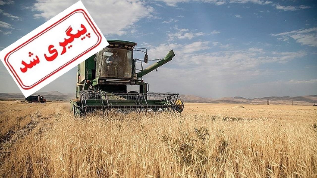 رئیس بنیاد ملی گندمکاران از پرداخت بخشی از مطالبات خبر داد