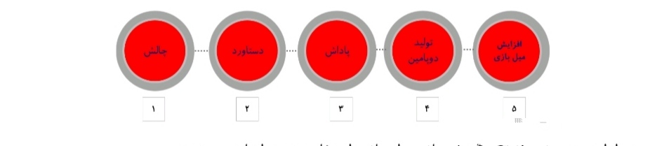 بازی همستر کامبت
