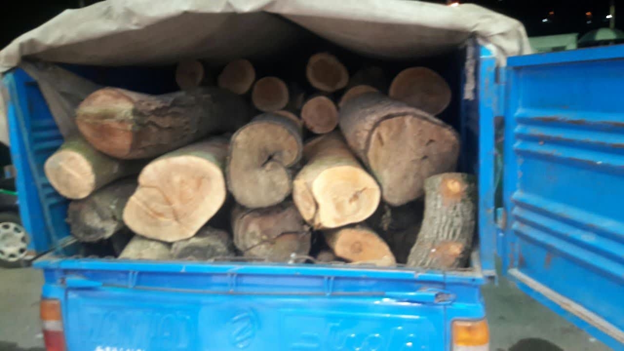 کشف ۱۵ تن چوب قاچاق در رودبار