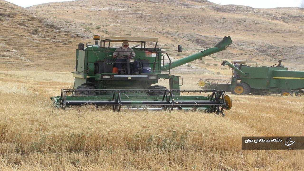 ۱۳۰ کمباین برای برداشت غلات در مهاباد تجهیز شد
