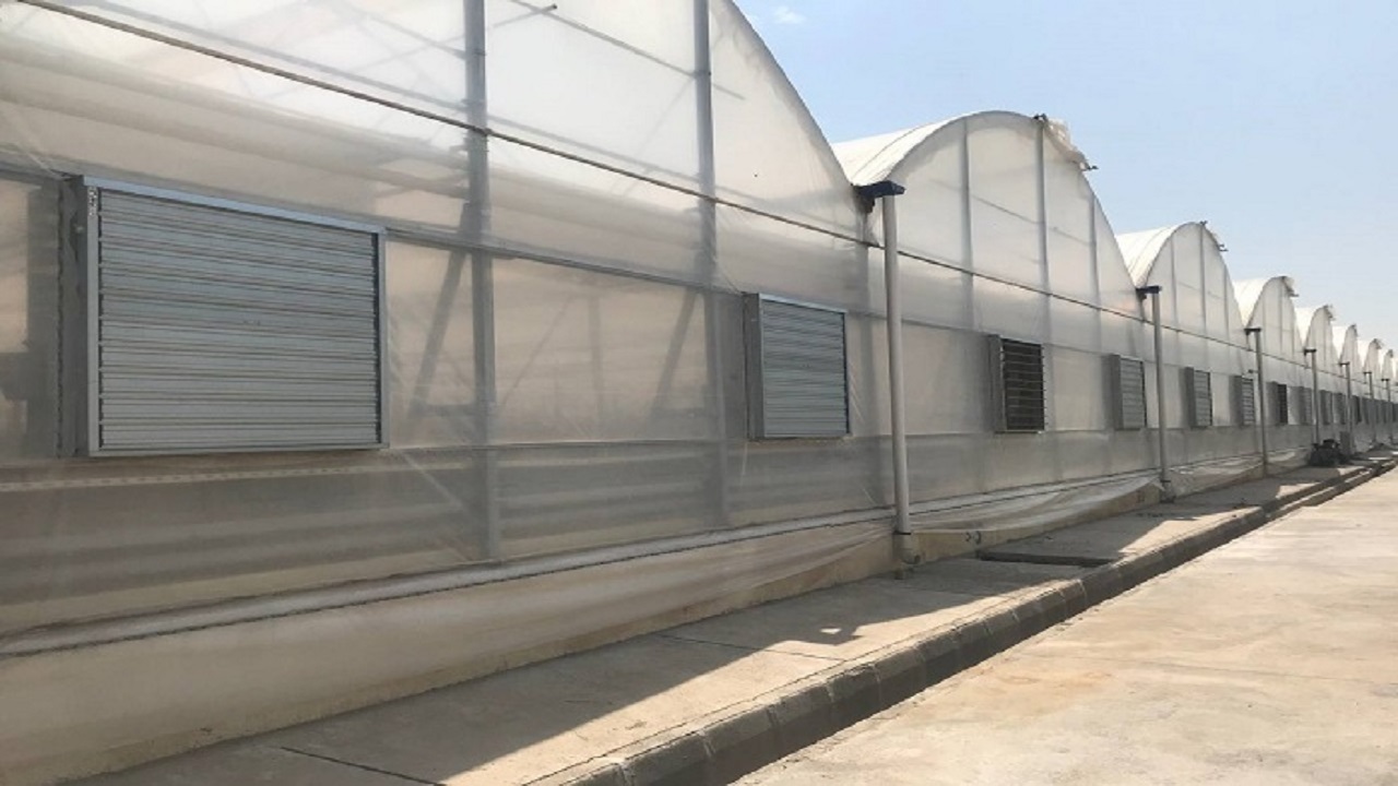 بهره برداری از ۵۱ طرح کشاورزی در قزوین