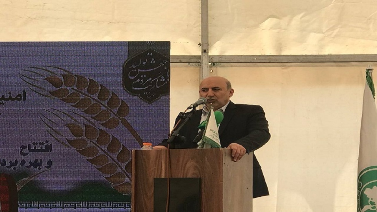 بیش از ۹۸ درصد بذر موردنیاز کشور در داخل تولید می‌شود