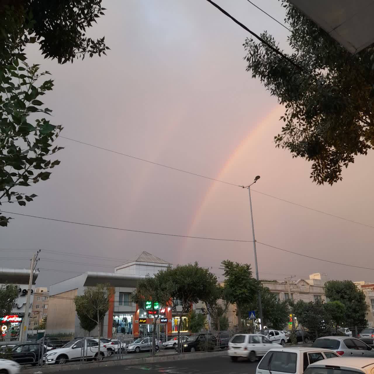 بارش باران