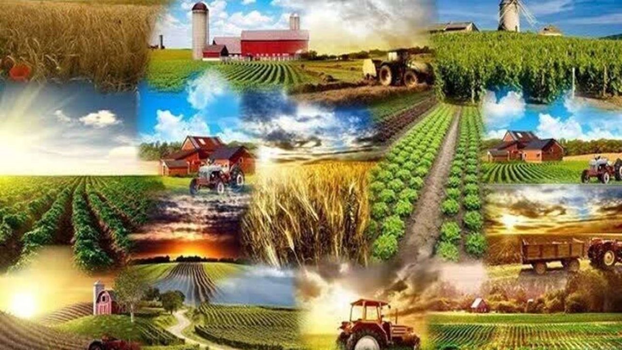 ایجاد بیش از  ۲ هزار اشتغال با افتتاح طرح‌های هفته جهادکشاورزی در سمنان