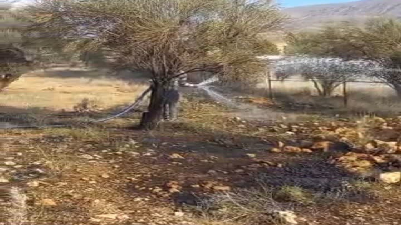 آتش‌سوزی در پارک ملی بمو