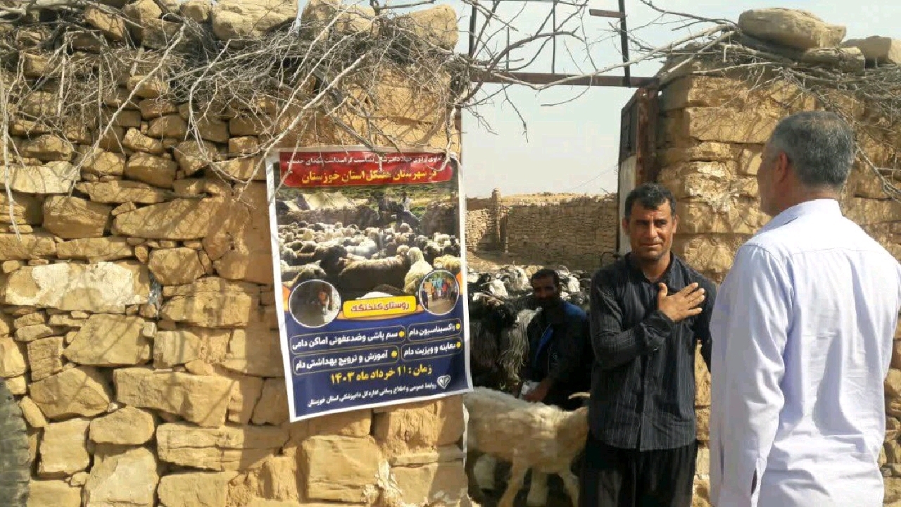 سم‌پاشی ۳ هزار راس دام سبک و سنگین در هفتکل