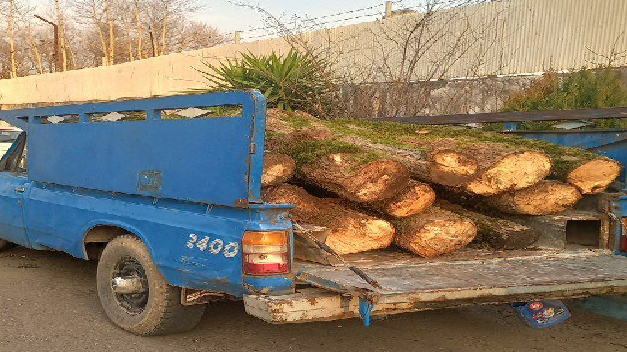 کشف بیش از ۶ تن چوب قاچاق در سیاهکل