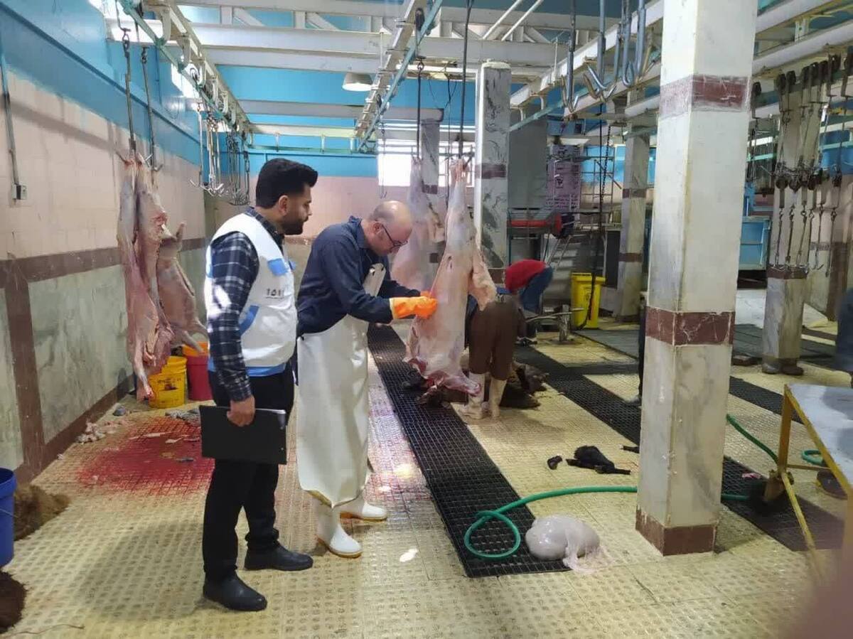 آمادگی ۳۶ اکیپ دامپزشکی برای خدمت رسانی در روز عید سعید قربان