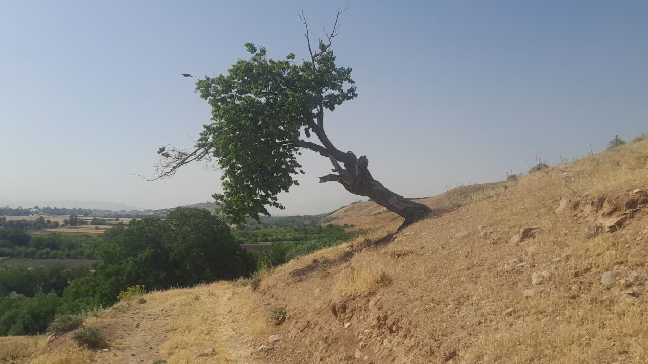 روستای قلعه حاتم در بروجرد