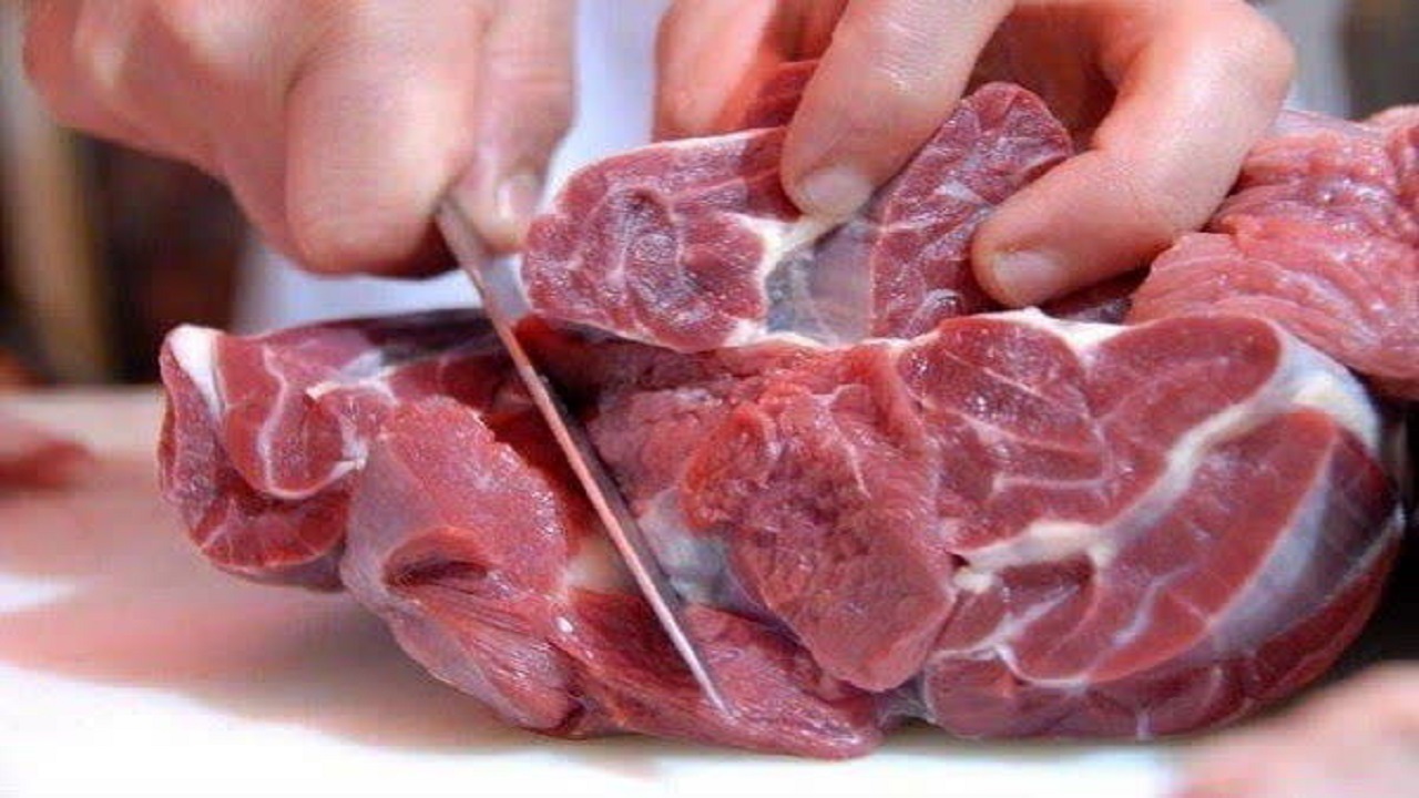 پیشگیری از ابتلا به بیماری تب کریمه کنگو با رعایت نکات بهداشتی
