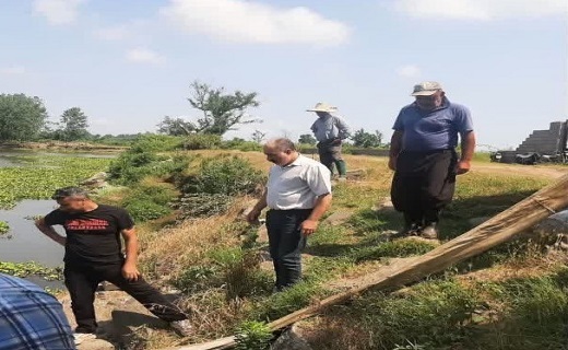 تلاش برای احیای گونه در خطر انقراض ماهی سوف در گیلان تلاش برای احیای گونه در خطر انقراض ماهی سوف در گیلان
