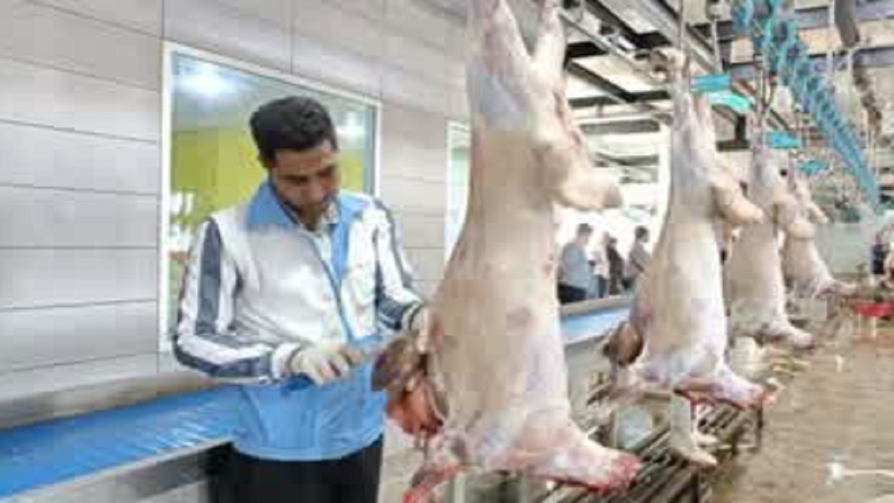 نظارت بر ذبح ۲۳۵ رأس دام قربانی در خوسف