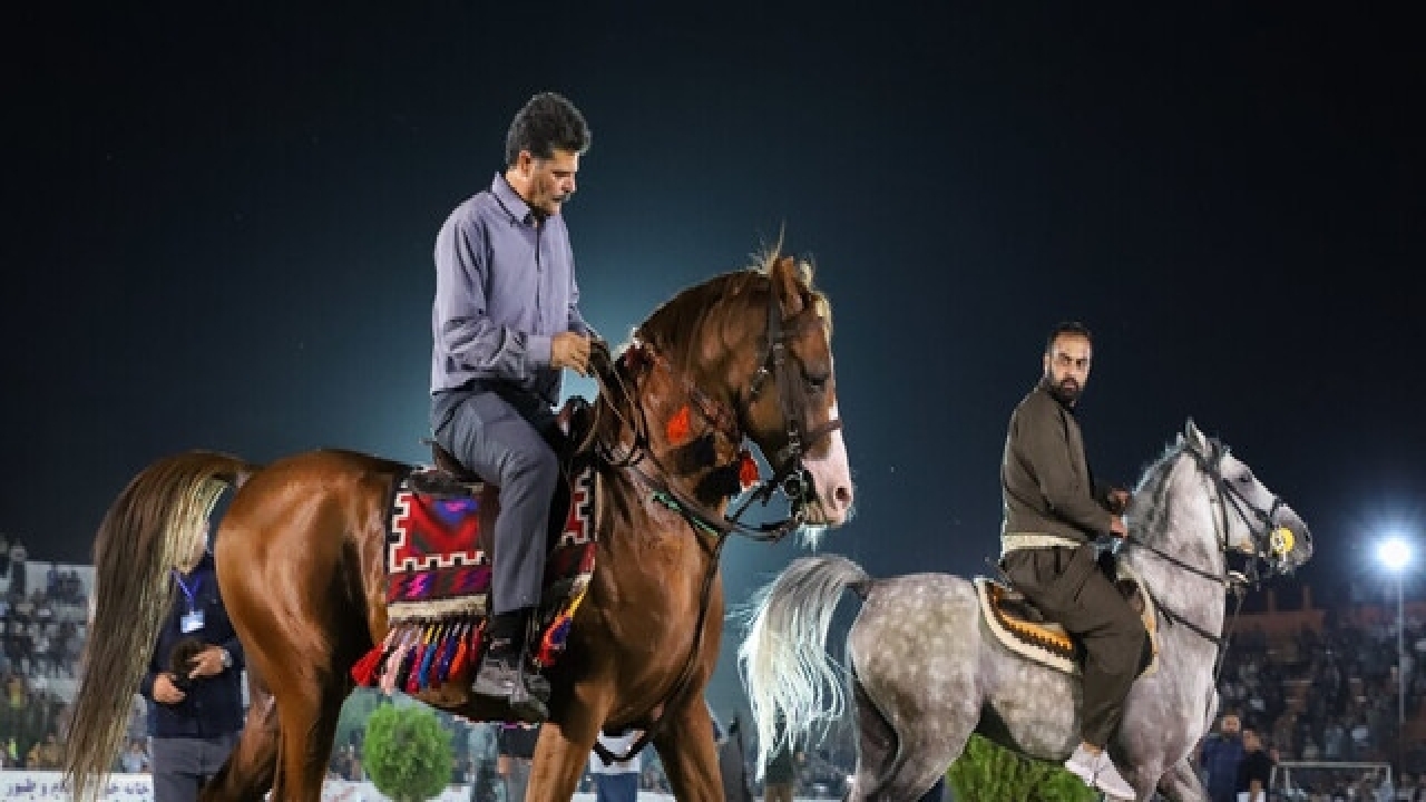 رایزنی برای تدوین مشترک پرونده ثبت جهانی اسب کرد