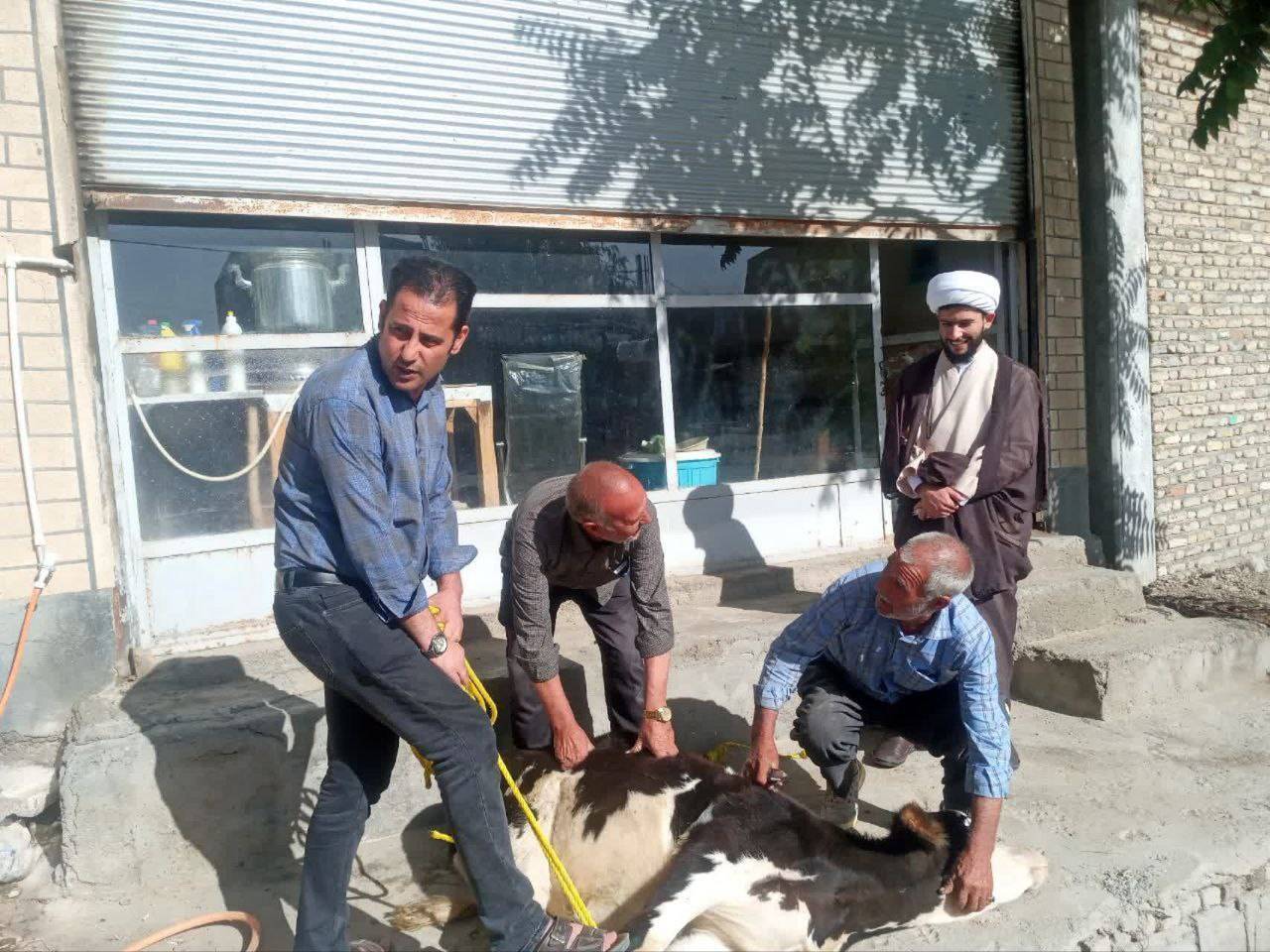 ذبح گوسفند در چهاربرج