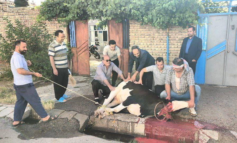 حال و هوای عید قربانی در چهاربرج