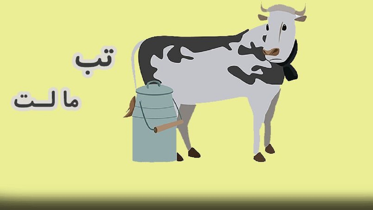 شناسایی بیش از ۴۰۰ بیمار مبتلا به تب مالت در استان کرمان