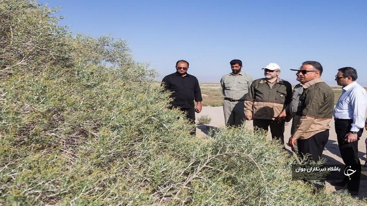 استاندار مرکزی از کویر میقان بازدید کرد
