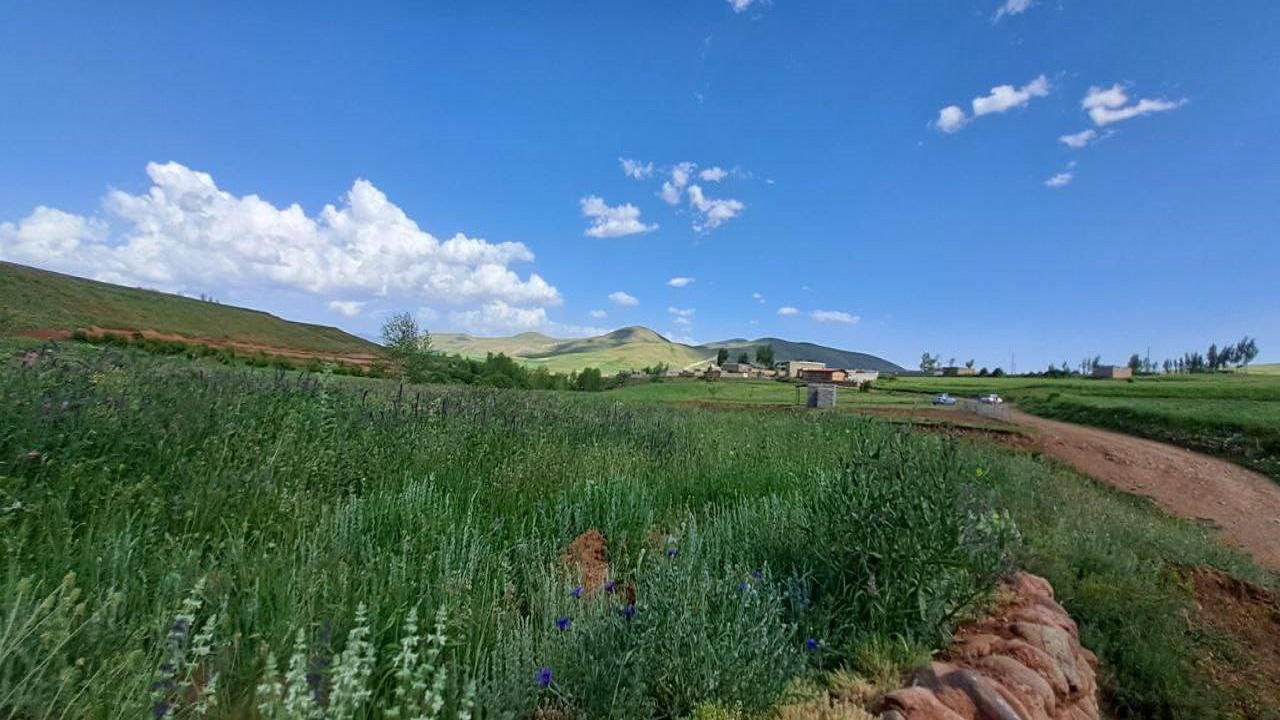 نگاهی به طبیعت سرسبز روستای اردکلو + تصاویر