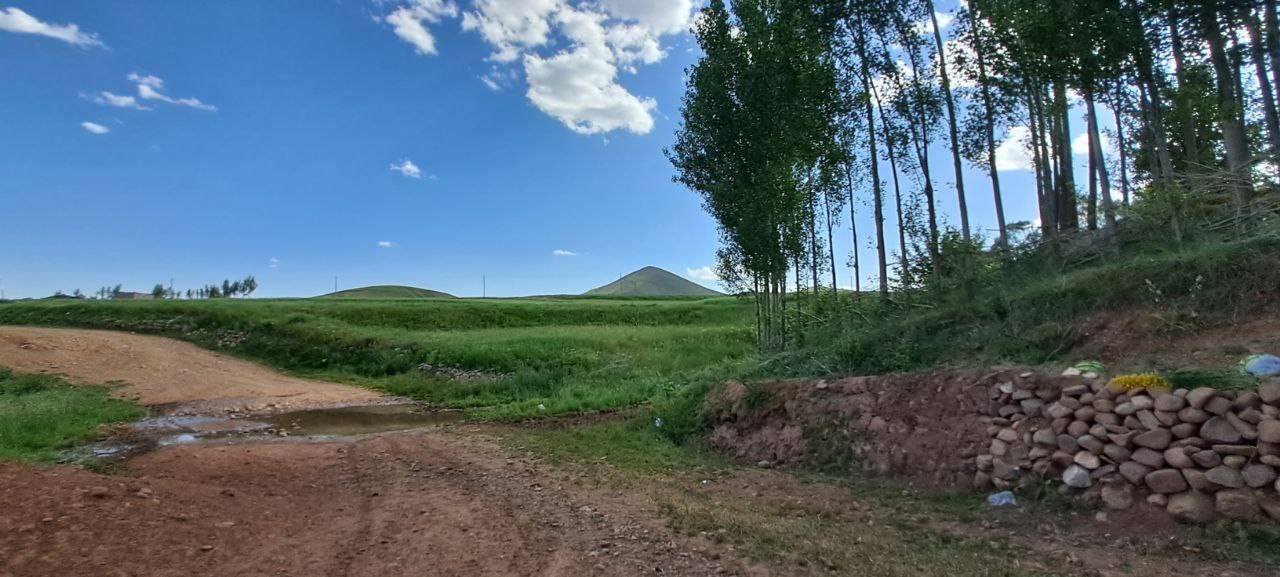 طبیعت
