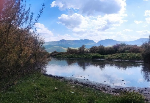 تالاب بیشه دالان لرستان