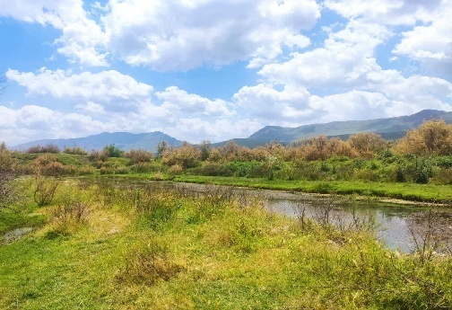 تالاب بیشه دالان لرستان