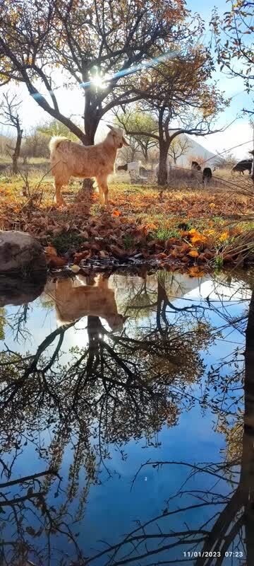 جاذبه گردشگری